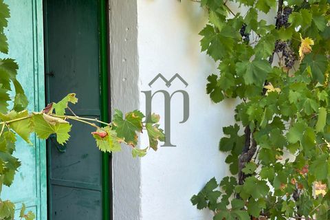 Ruïna a Ostuni, Brindisi, Ostuni - € 43.000 | Ref: Lamia Vite - foto 19